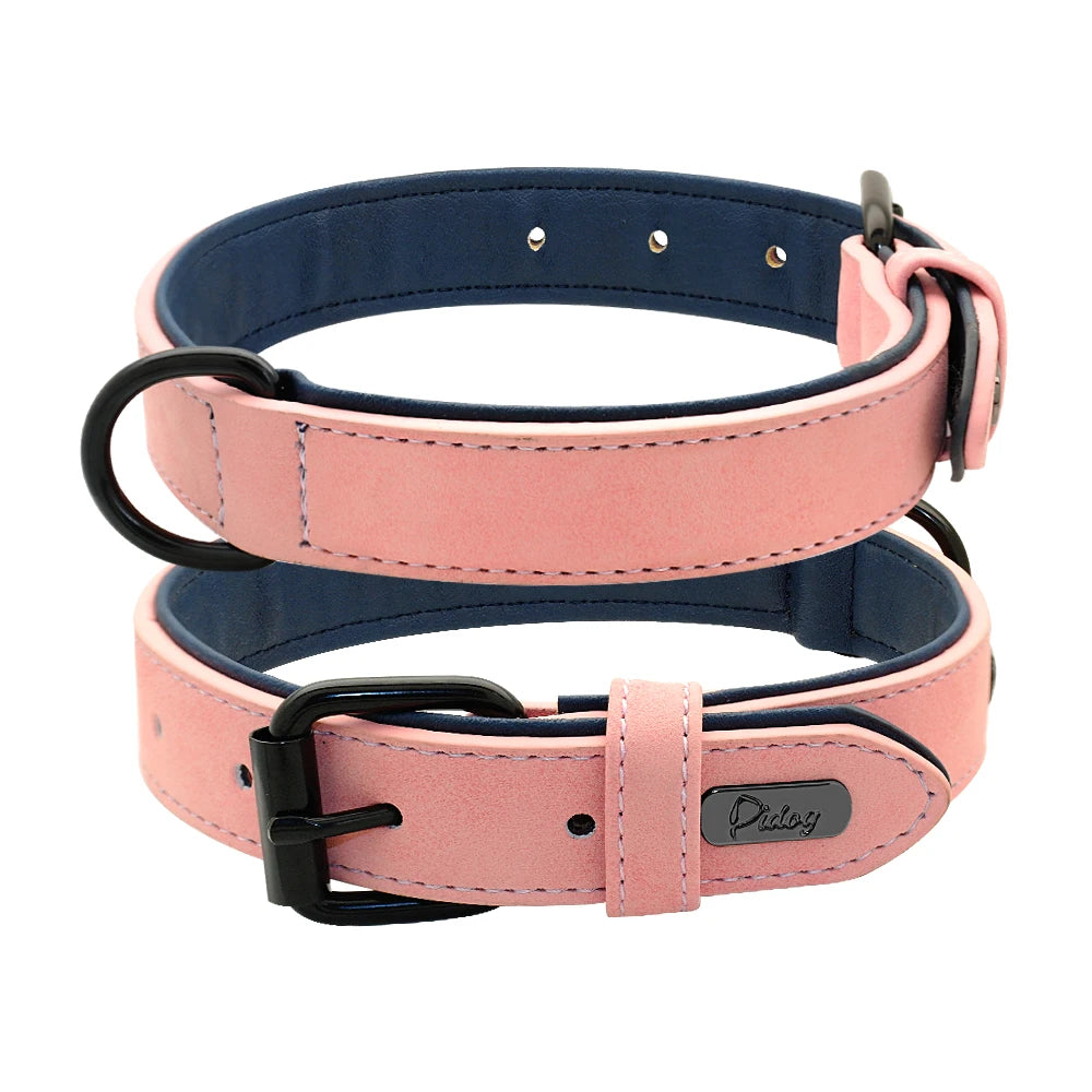 Premium Padded Leather Dog Collar - Comfort & Style for All Breeds Pink