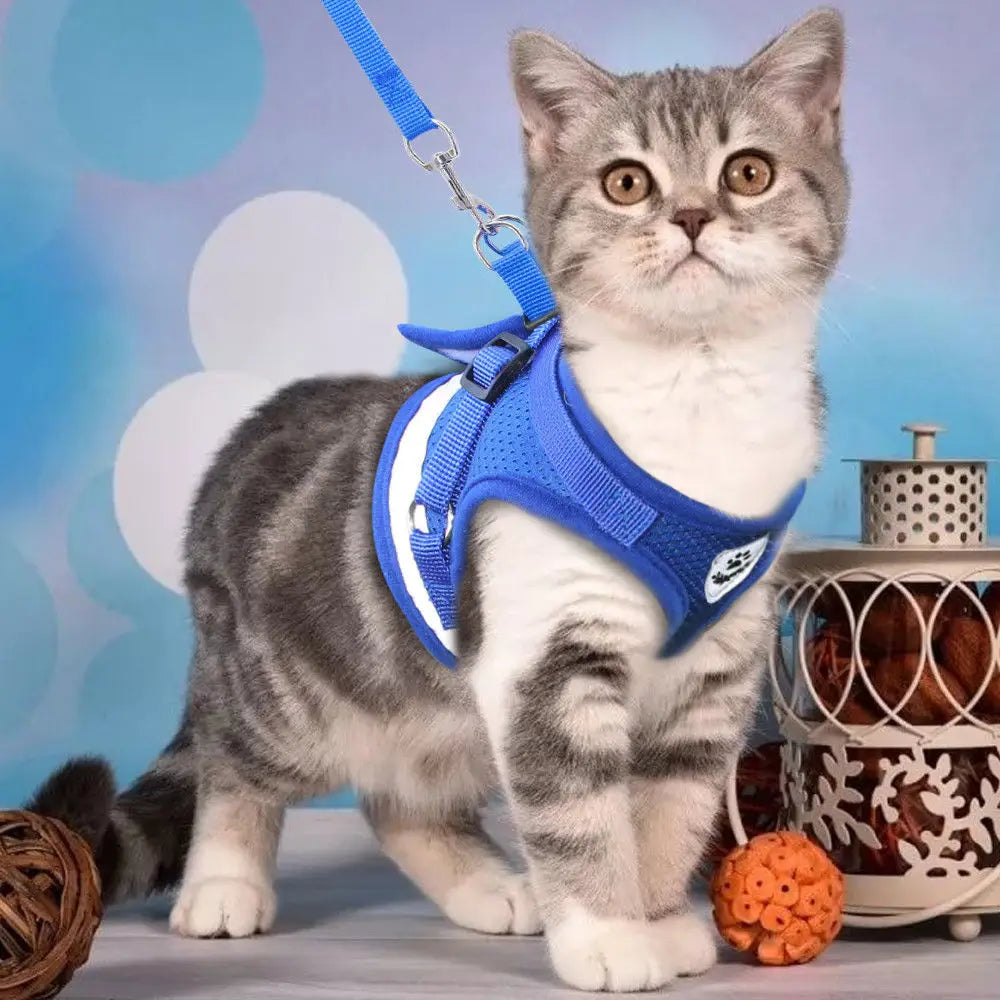 Cat Harness Leash Set - Reflective Mesh Vest for Small Pets
