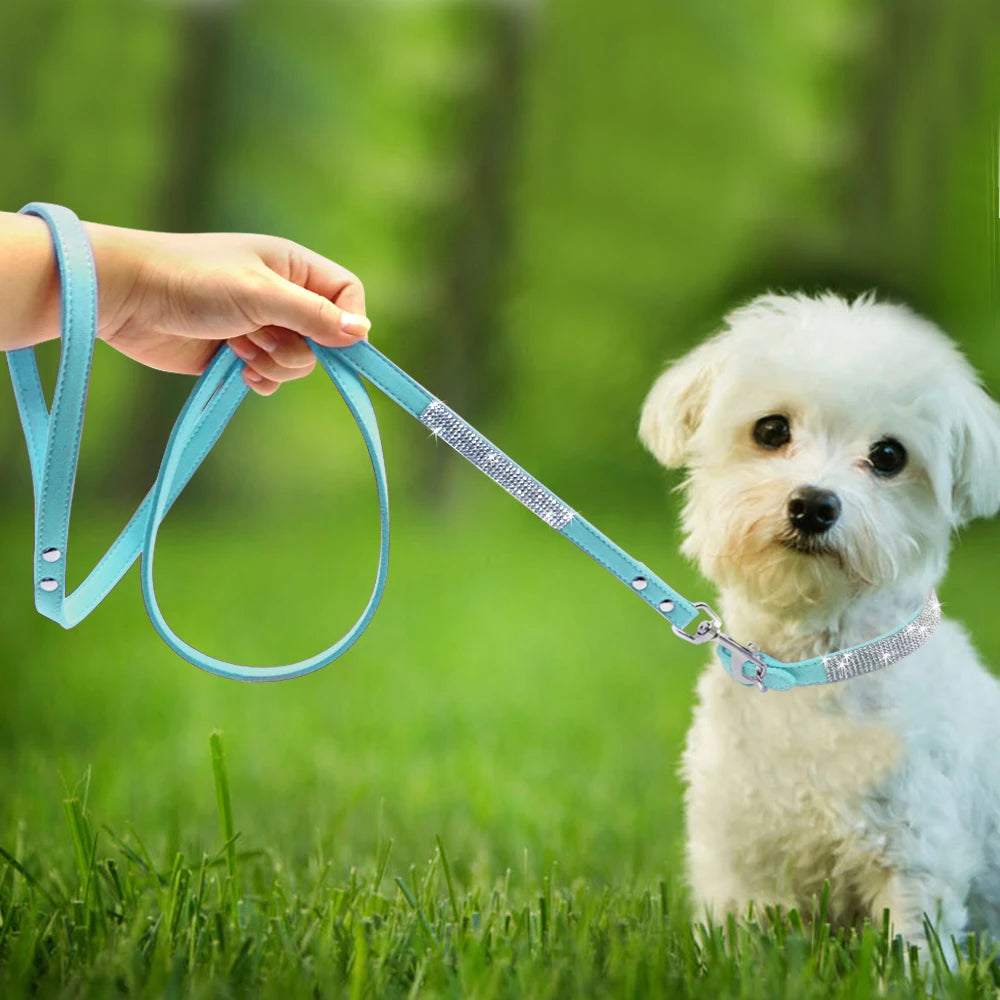 Rhinestone Dog Collar & Leash Set - Suede Leather Pet Accessories