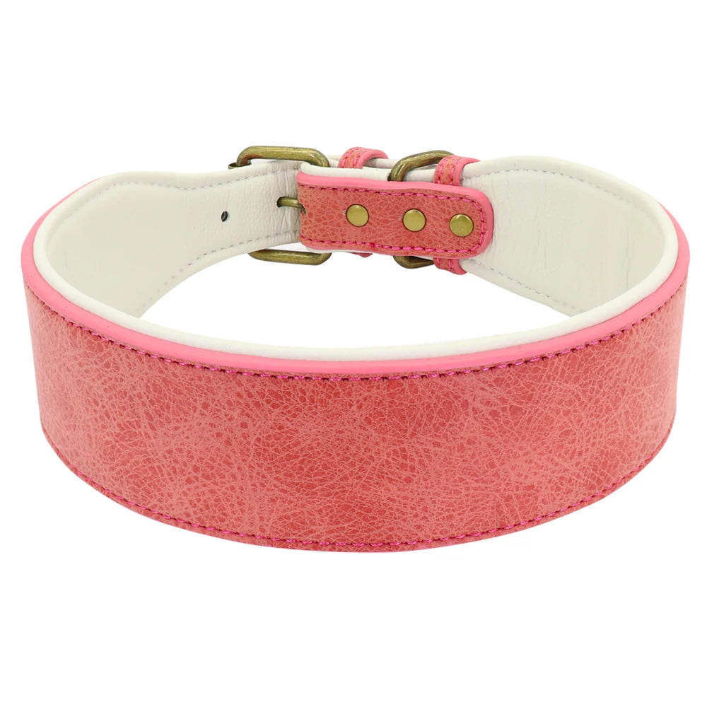 Wide Padded Leather Dog Collar for Large Dogs Pink