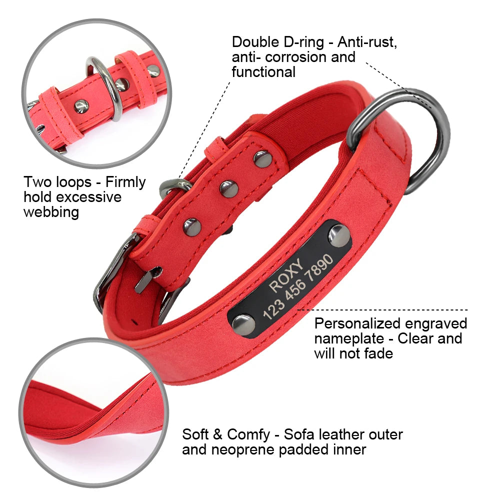 Custom Engraved Dog Collar - Personalized Leather Pet ID Collar