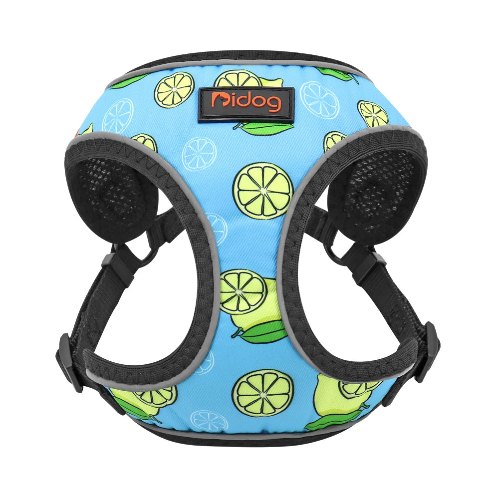 Reflective Dog Harness - Mesh Vest for Small Medium Dogs 102-Blue