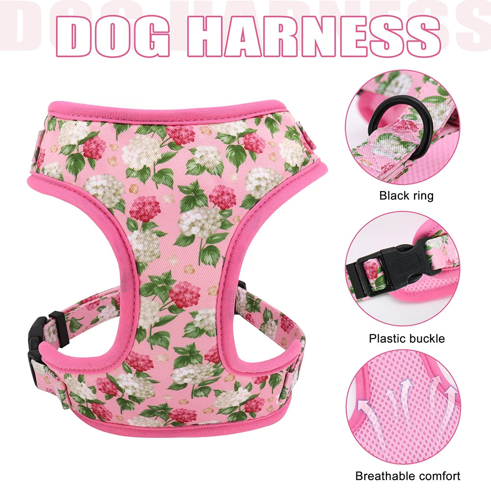 Custom Dog Collar Harness Set - Personalized Nylon Pet Kit