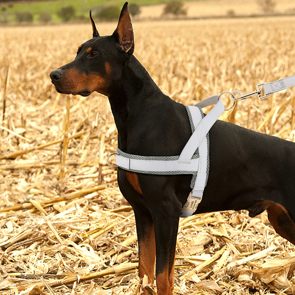 Custom Leather Dog Harness - Personalized No Pull Vest S-XL