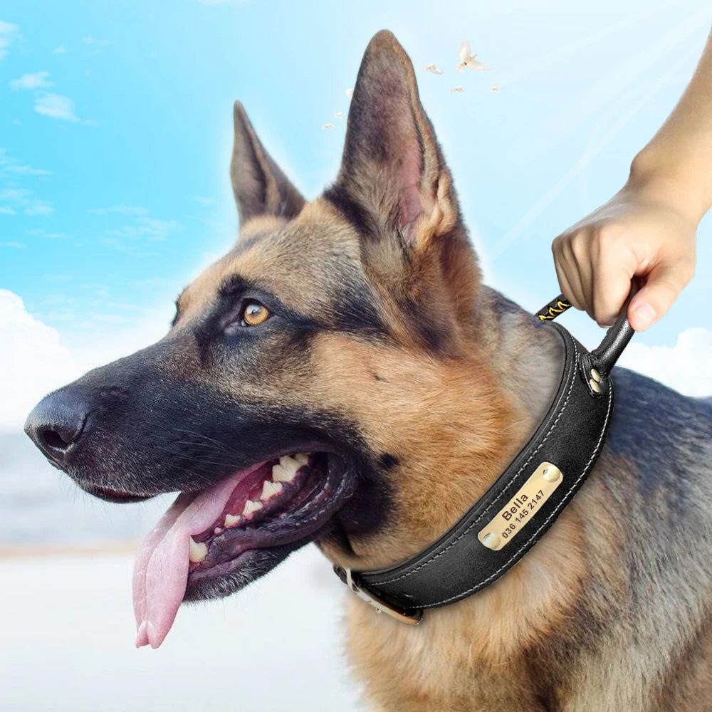 Personalized Leather Dog Collar with ID Tag - Medium & Large Dogs