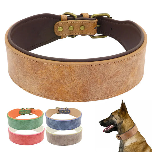 Wide Padded Leather Dog Collar for Large Dogs