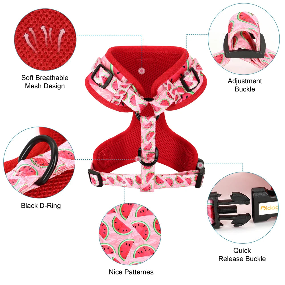 Dog Harness and Leash Set with Waste Bag Dispenser - Mesh Vest