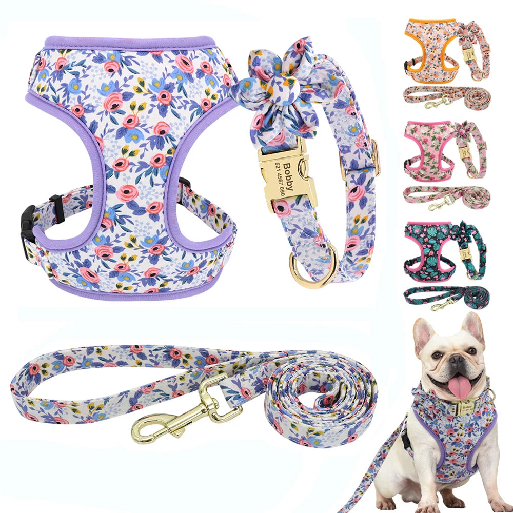 Custom Dog Collar Harness Set - Personalized Nylon Pet Kit