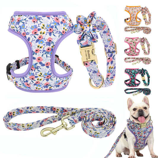Custom Dog Collar Harness Set - Personalized Nylon Pet Kit