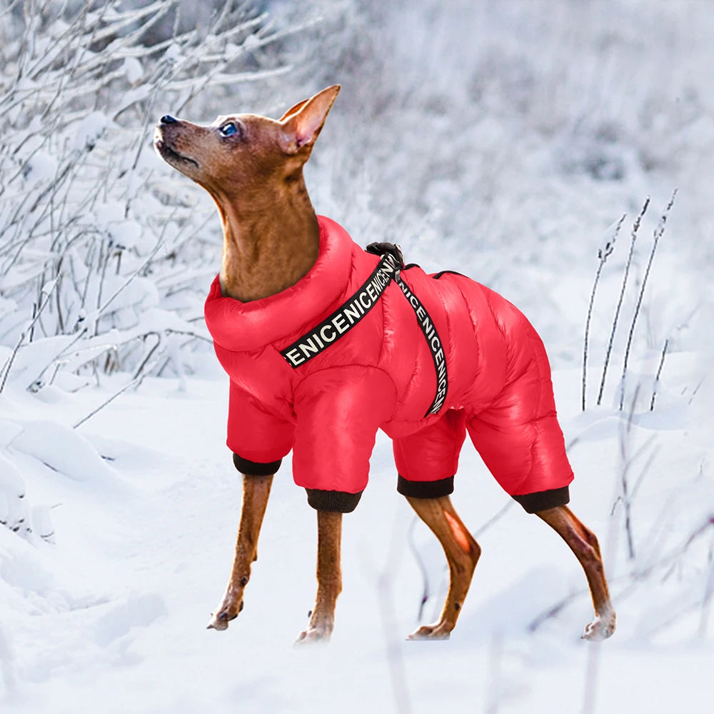 Warm Winter Dog Coat with Harness - Thick Cotton Down Jacket