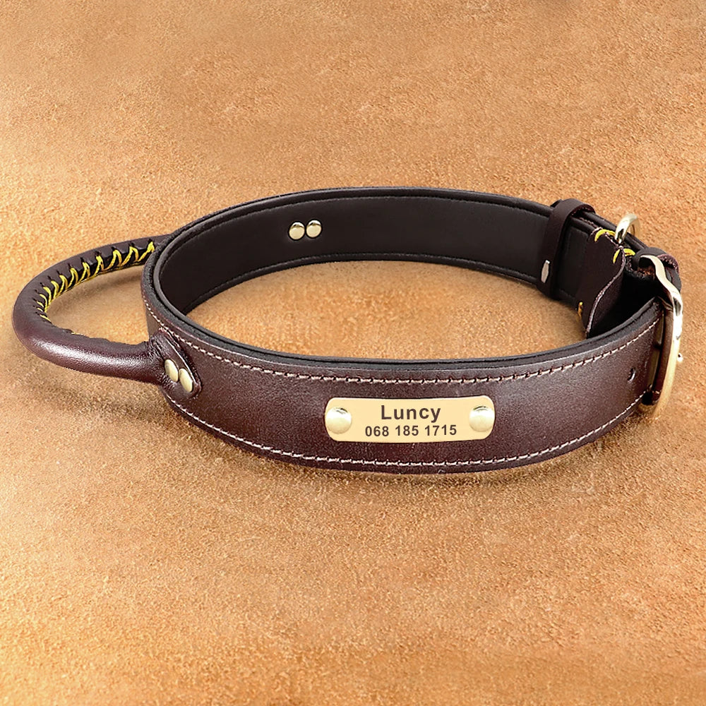 Personalized Leather Dog Collar with ID Tag - Medium & Large Dogs Brown