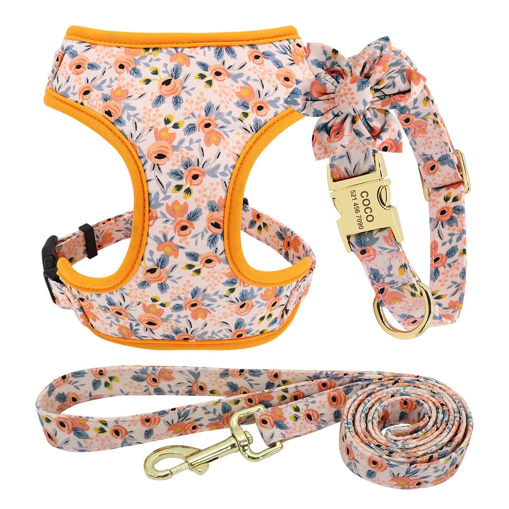 Custom Dog Collar Harness Set - Personalized Nylon Pet Kit Orange