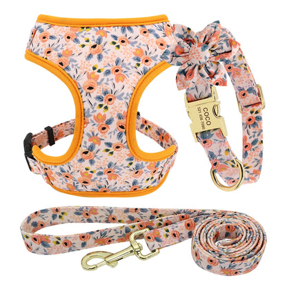 Custom Dog Collar Harness Set - Personalized Nylon Pet Kit Orange