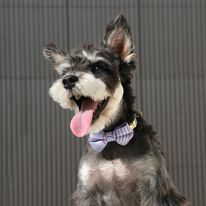 Custom Dog Collar Bowknot Engraved Pet ID Nylon Small Medium
