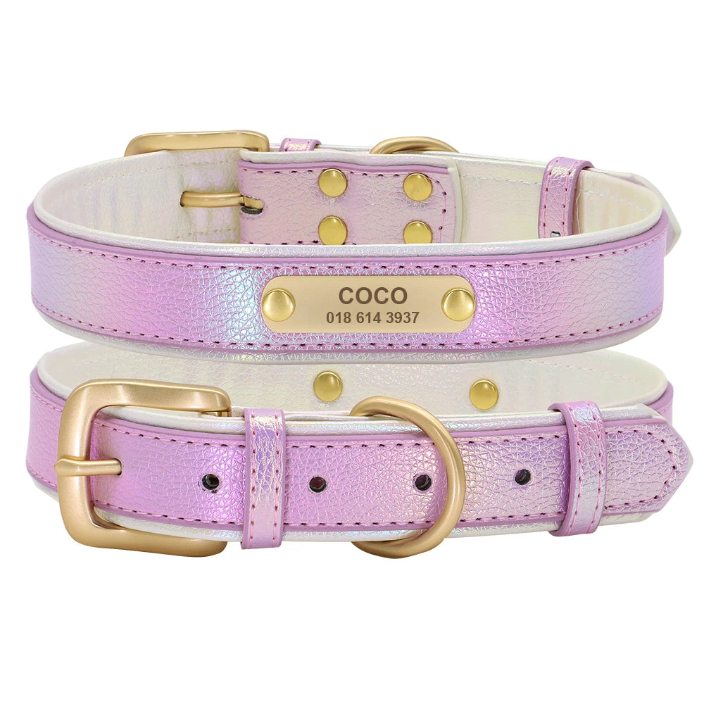 Custom Pet Collar with Personalized Name Tag - Adjustable Leather Purple