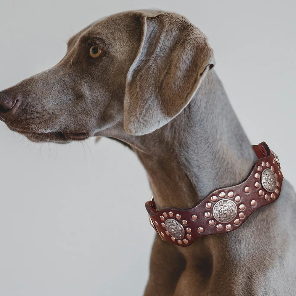 2 Inch Wide Spiked Leather Dog Collar for Large Dogs