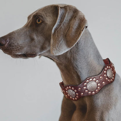 2 Inch Wide Spiked Leather Dog Collar for Large Dogs