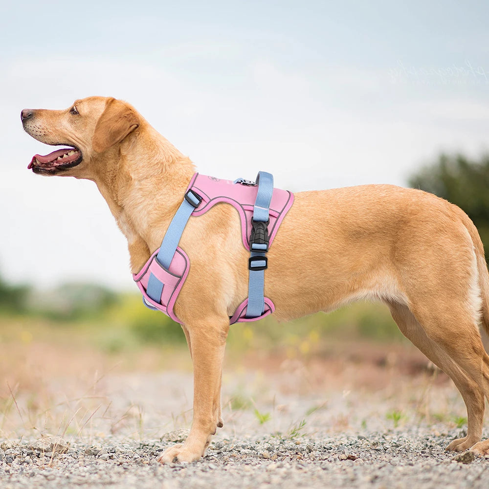 Reflective Dog Harness - Breathable Mesh Vest for Training & Walking
