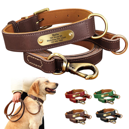 Personalized Leather Dog Collar & Leash Set with Free Engraving