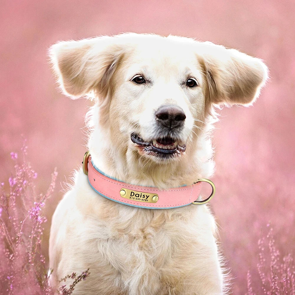 Personalized PU Leather Dog Collar with Free Engraving - Soft Padded