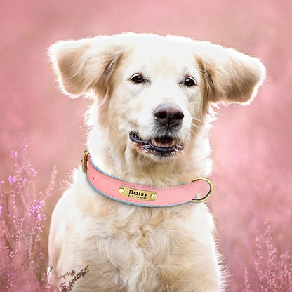 Personalized PU Leather Dog Collar with Free Engraving - Soft Padded