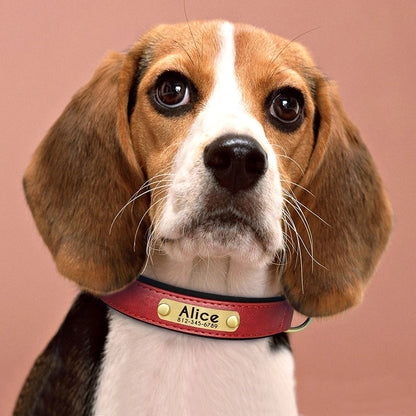 Personalized PU Leather Dog Collar with Free Engraving - Soft Padded