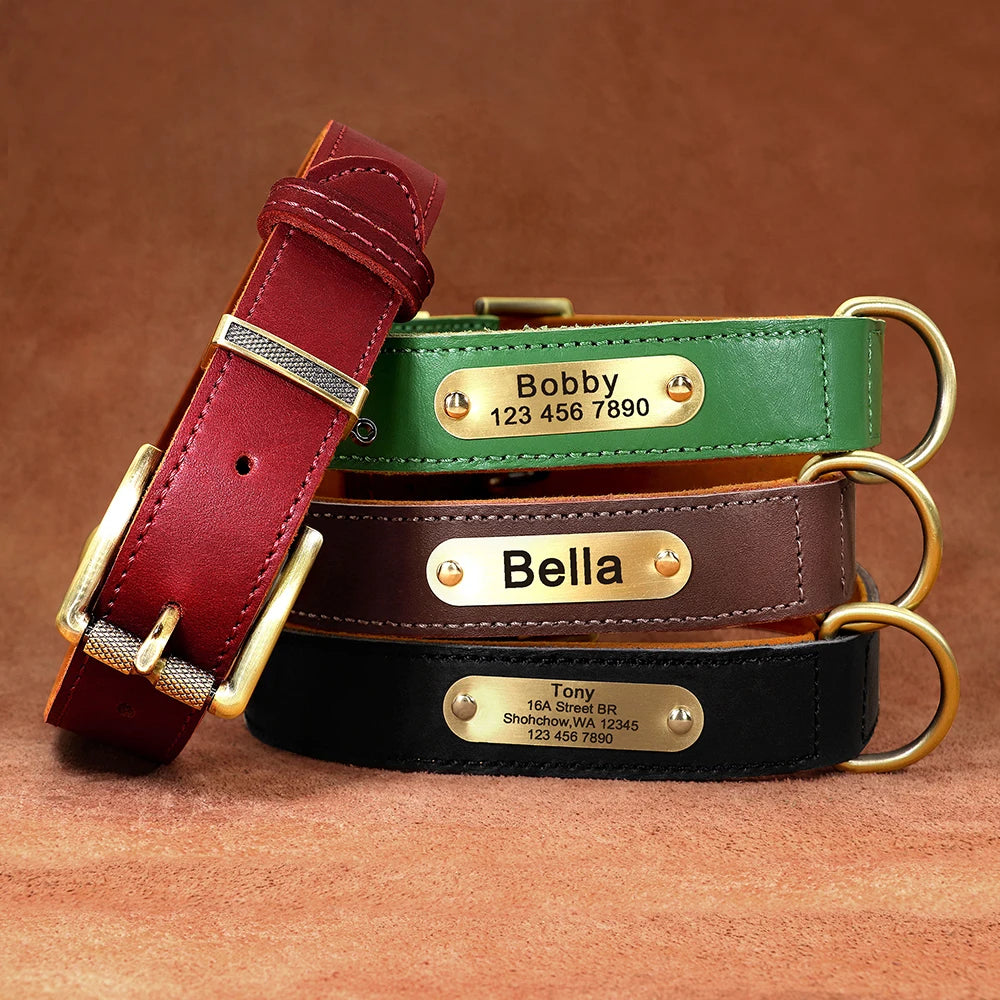 Personalized Leather Dog Collar & Leash Set with Free Engraving