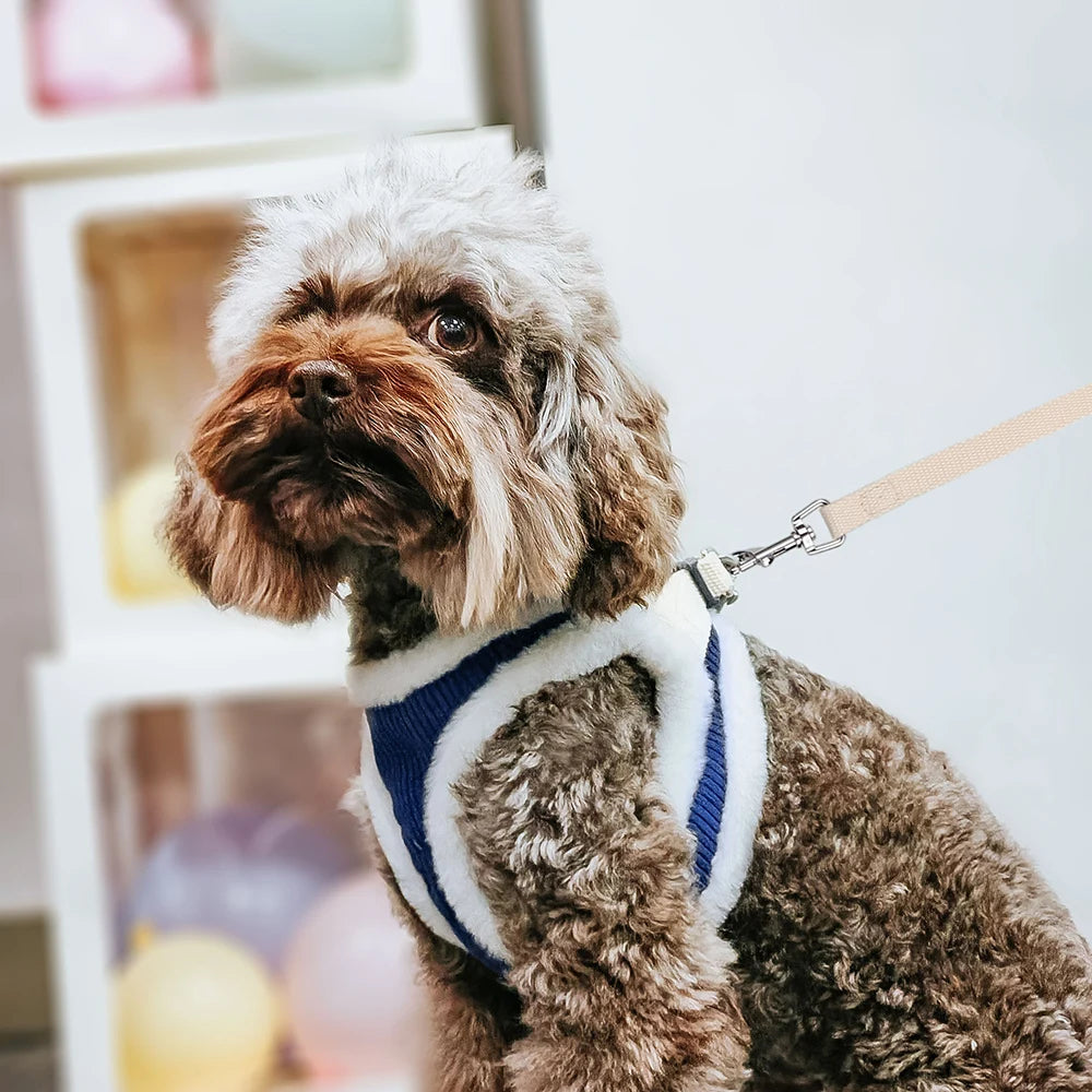 Winter Dog Harness Leash Set - Soft Plush Vest for Small Dogs
