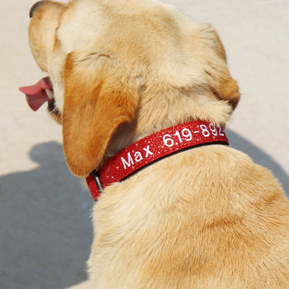 Personalized Reflective Dog Collar - Custom Embroidered Name & Phone