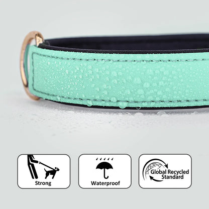 Waterproof Dog Collar - Durable Nylon with Soft Padding