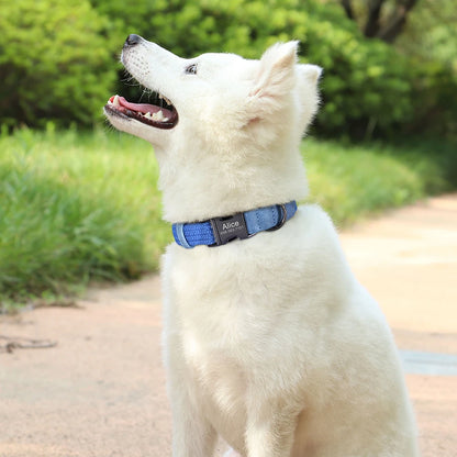 Custom Dog Collar with Name - Adjustable Nylon Pet Collar