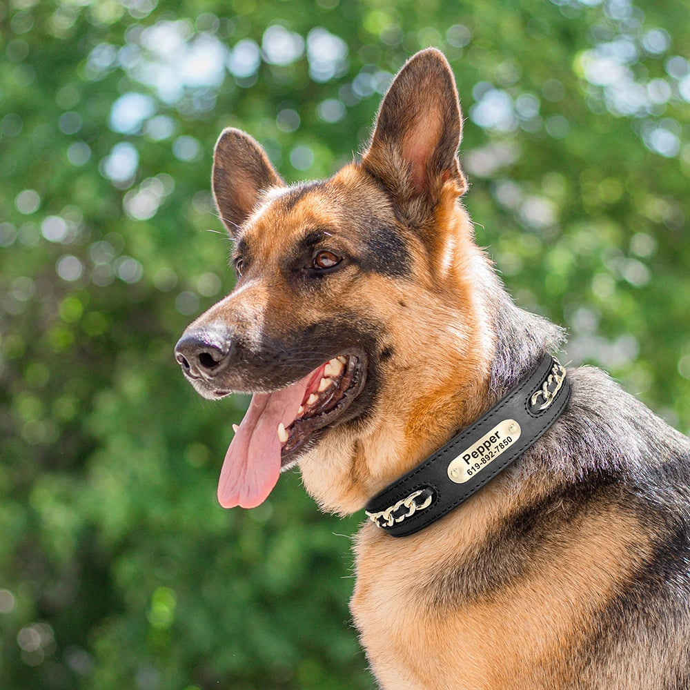 Personalized Leather Dog Collar with Name Tag - Custom ID Collar