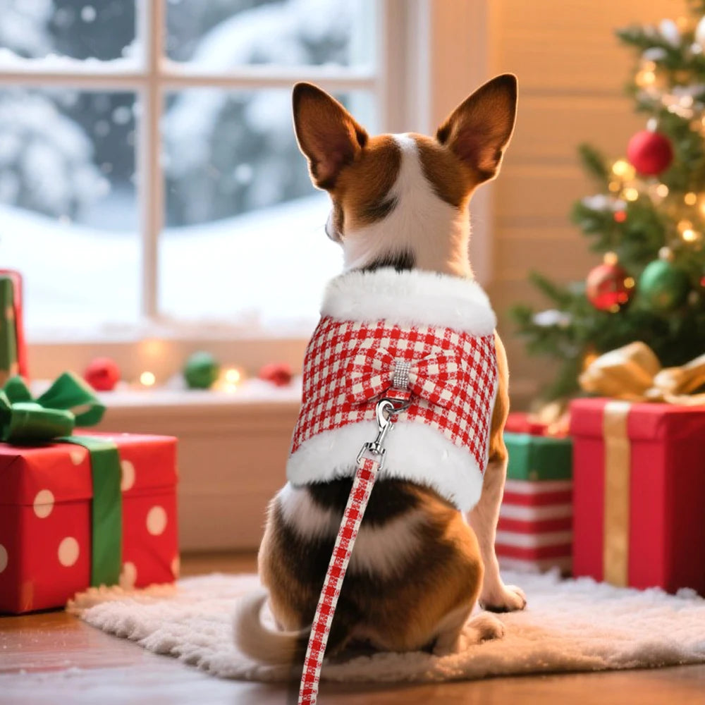 Warm Plaid Dog Harness Set with Removable Fur Collar & Leash