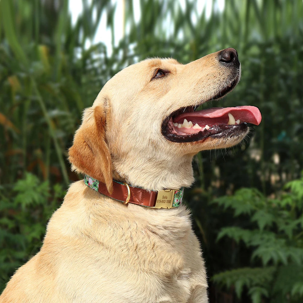 Custom Engraved Dog Collar - Personalized Flower Print Pet ID Collar
