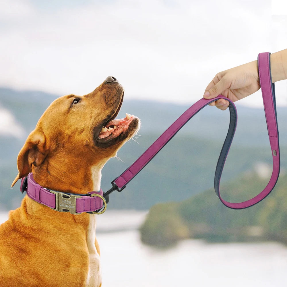 Personalized Dog Collar & Leash Set - Custom Engraved Pet Accessories