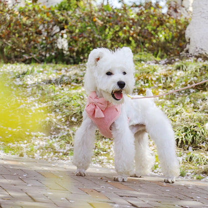 Adorable Bowknot Dog Harness Set - Soft Velvet Collar & Leash for Small Dogs