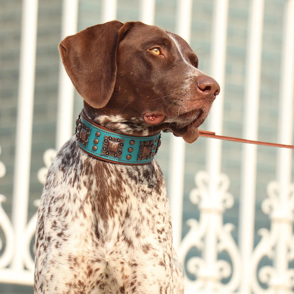2 Inch Wide Spiked Leather Dog Collar for Large Dogs