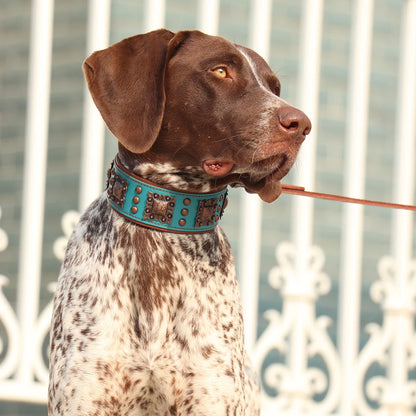 2 Inch Wide Spiked Leather Dog Collar for Large Dogs