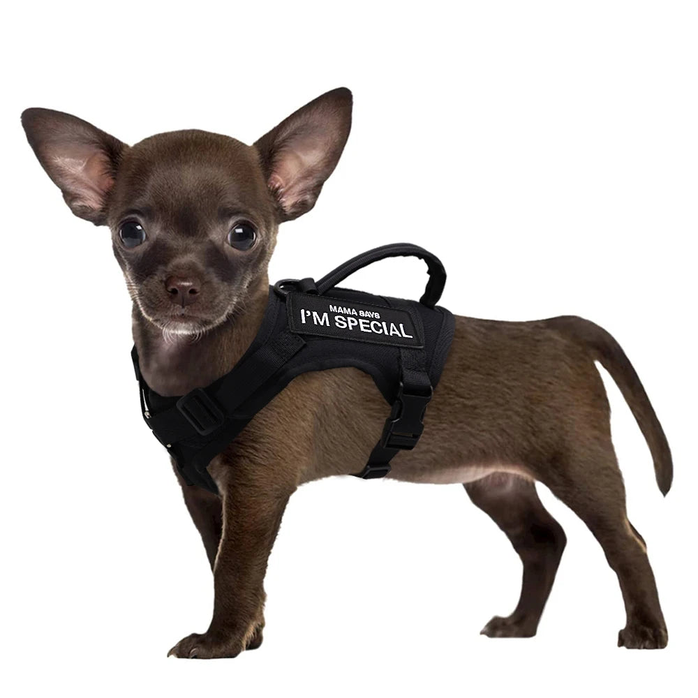 Tactical Cat Harness Vest with Handle - Military Style Nylon