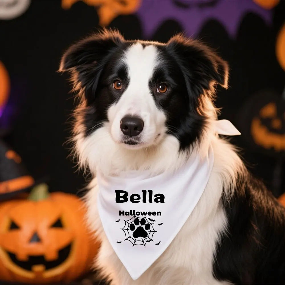 Reflective Dog Collar & Leash Set with Custom Engraved ID Tag