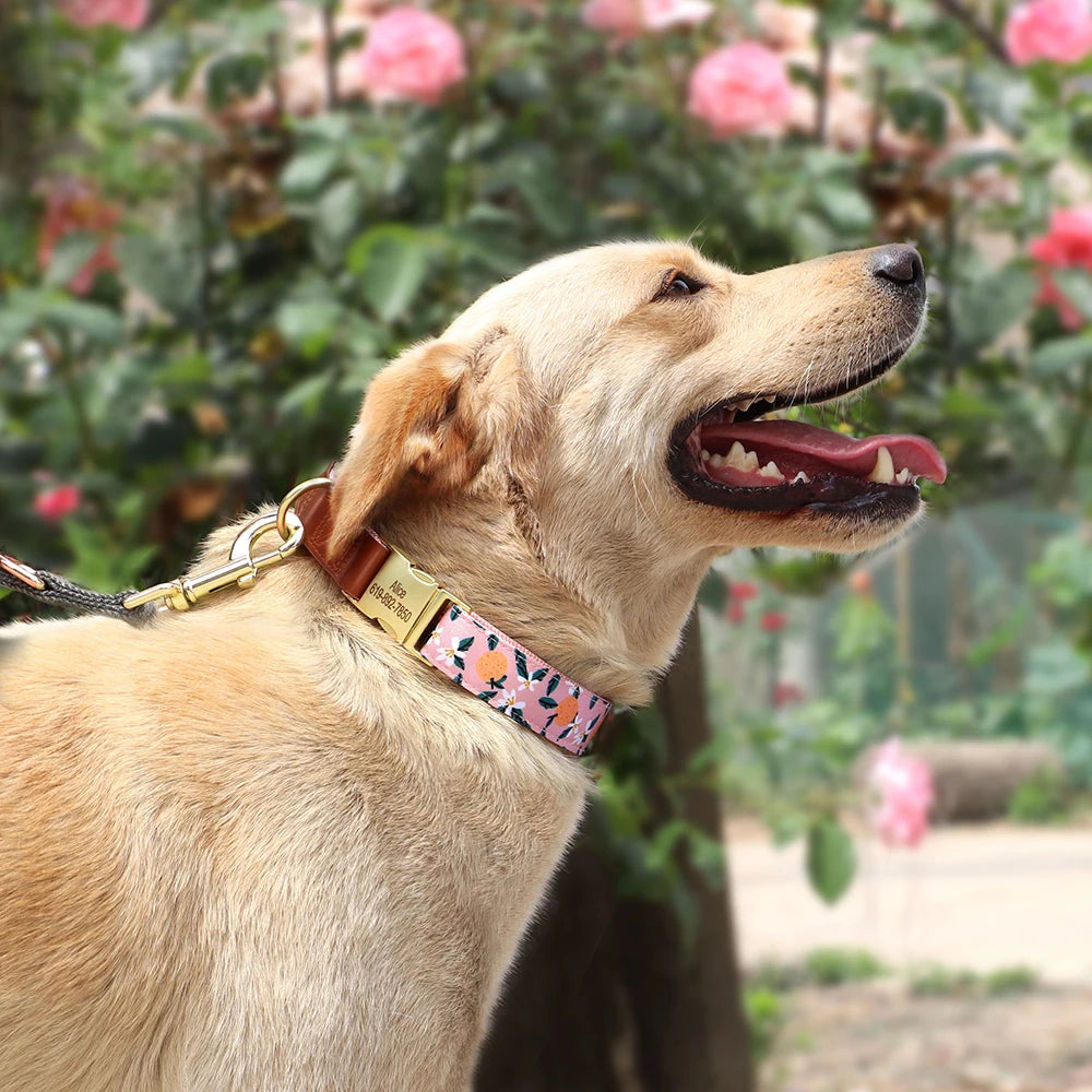 Custom Engraved Dog Collar - Personalized Flower Print Pet ID Collar