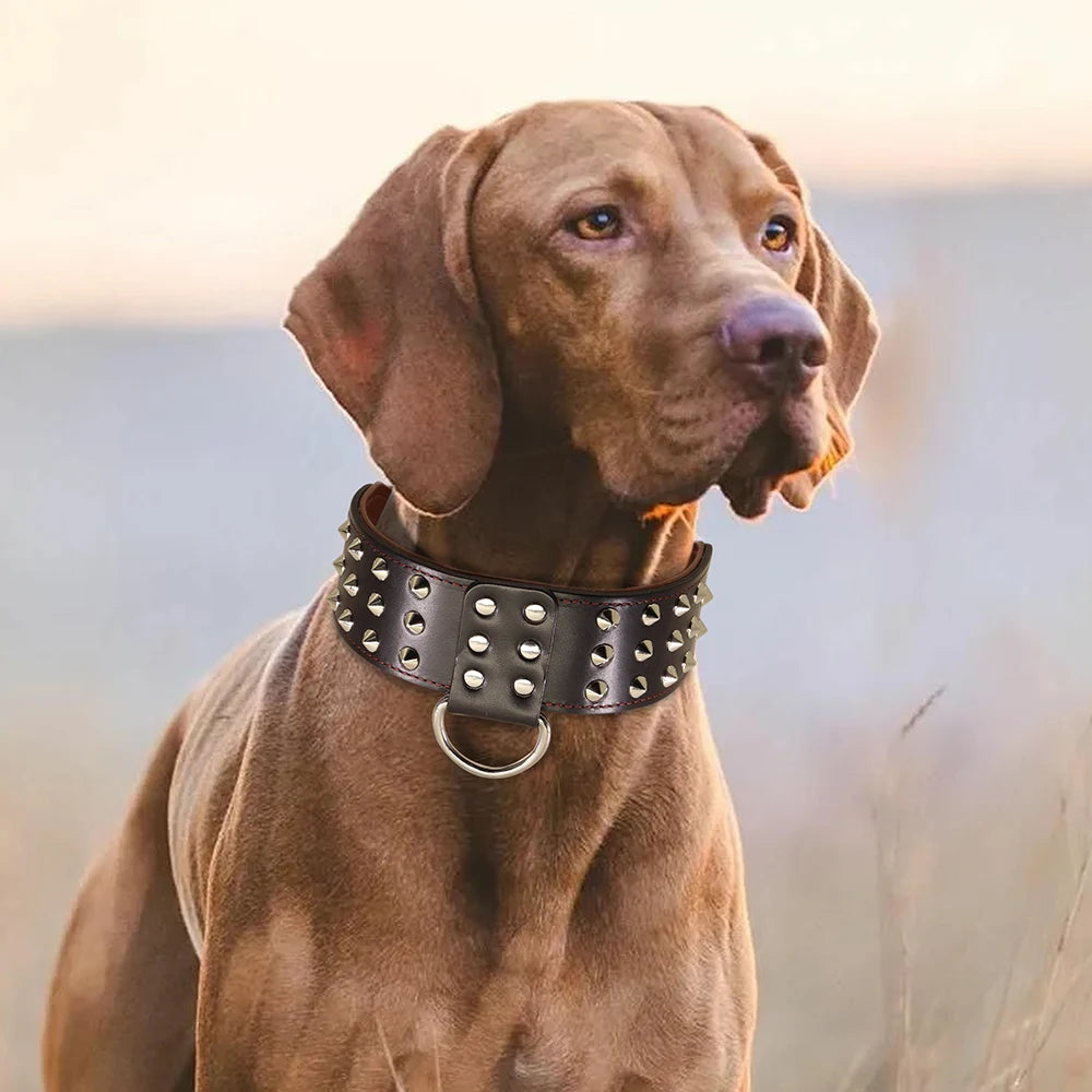Spiked Leather Dog Collar - Heavy Duty Wide Collar for Large Dogs