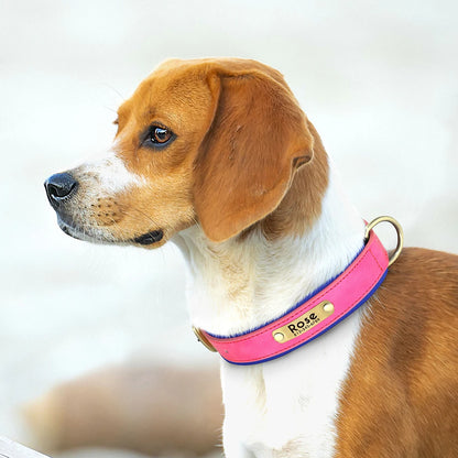 Personalized PU Leather Dog Collar with Free Engraving - Soft Padded