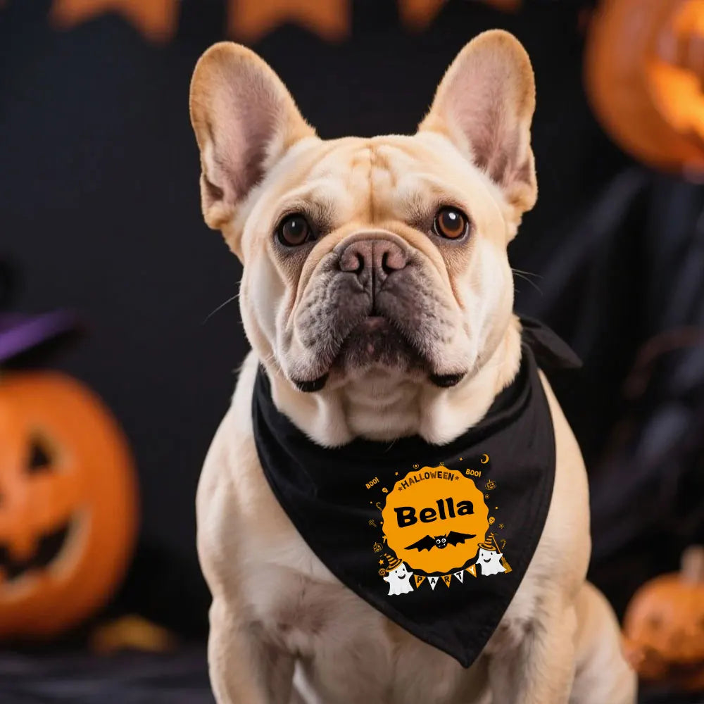 Reflective Dog Collar & Leash Set with Custom Engraved ID Tag
