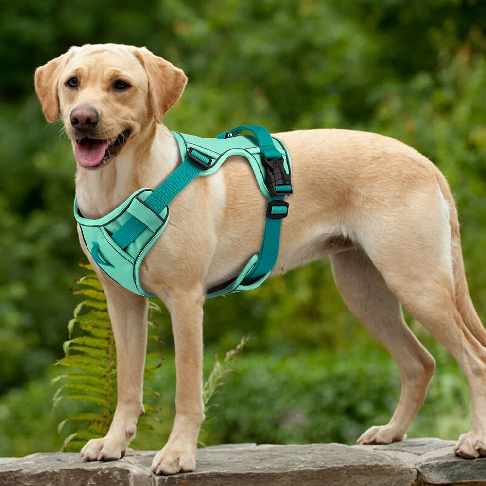Reflective Dog Harness - Breathable Mesh Vest for Training & Walking