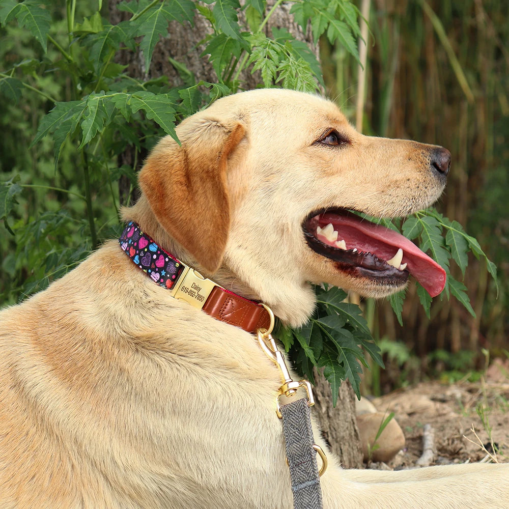 Custom Engraved Dog Collar - Personalized Flower Print Pet ID Collar