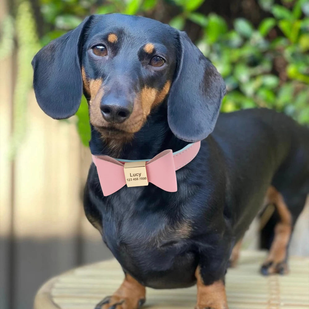 Personalized Dog Collar with Bowknot - Custom Engraved PU Leather