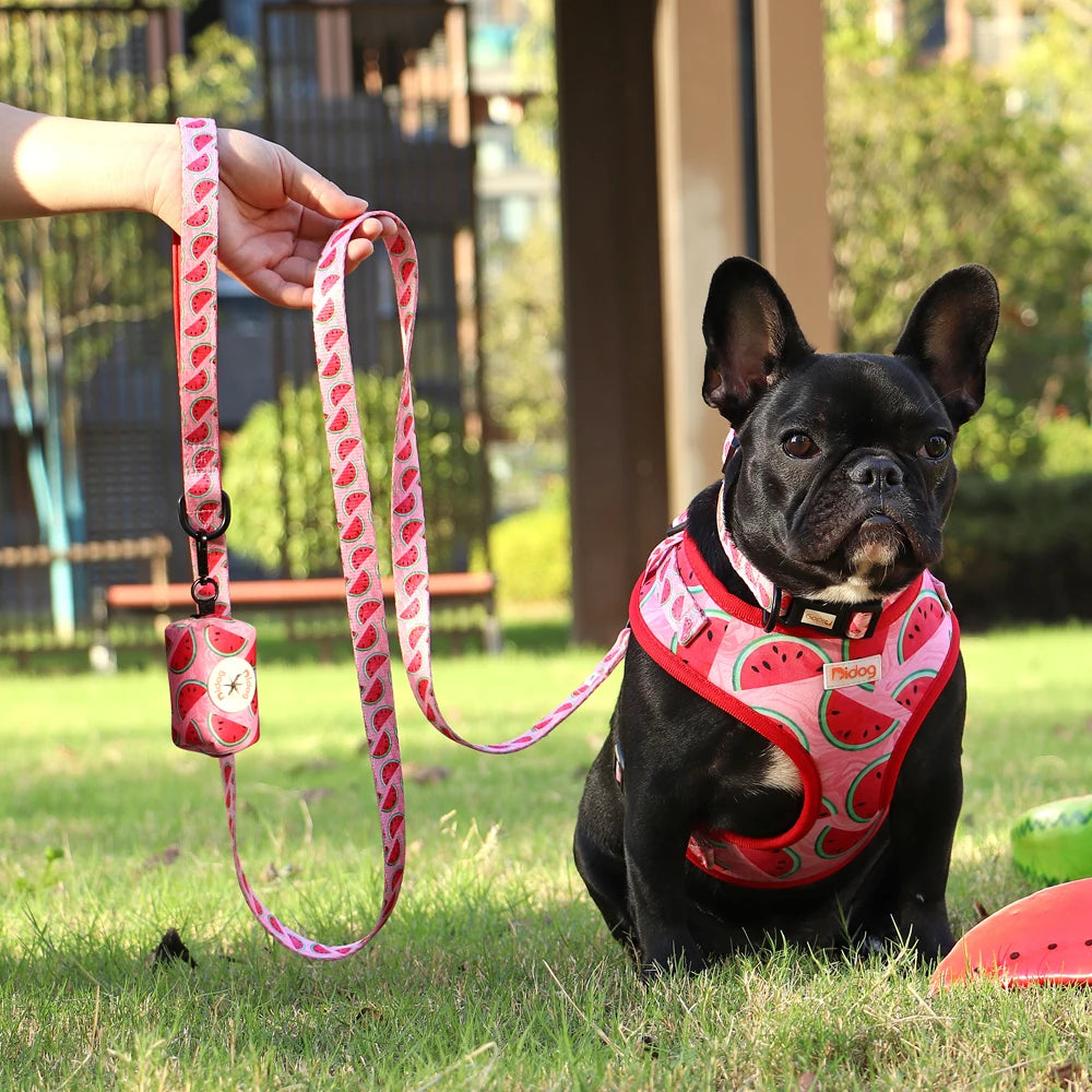 Dog Harness and Leash Set with Waste Bag Dispenser - Mesh Vest
