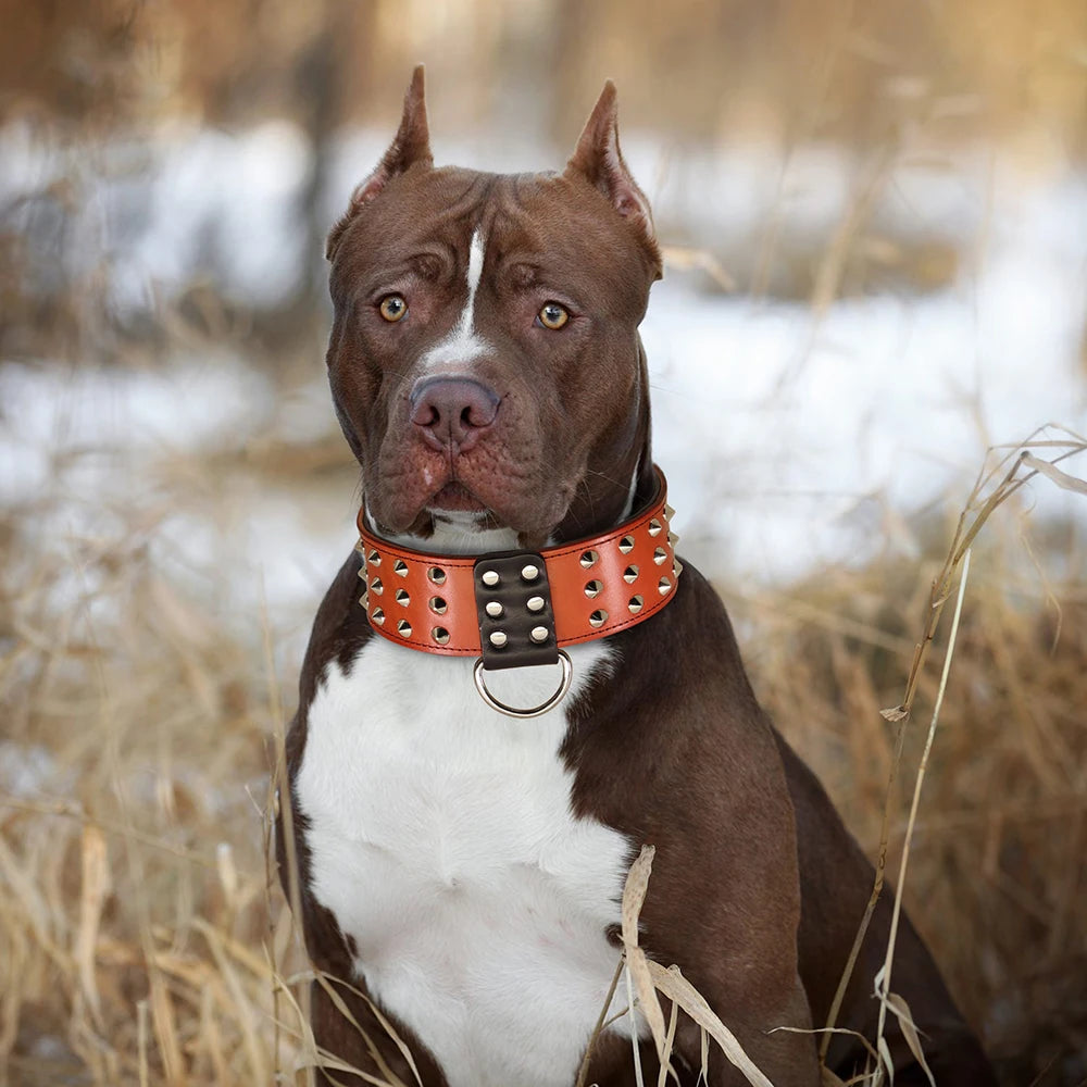 Spiked Leather Dog Collar - Heavy Duty Wide Collar for Large Dogs