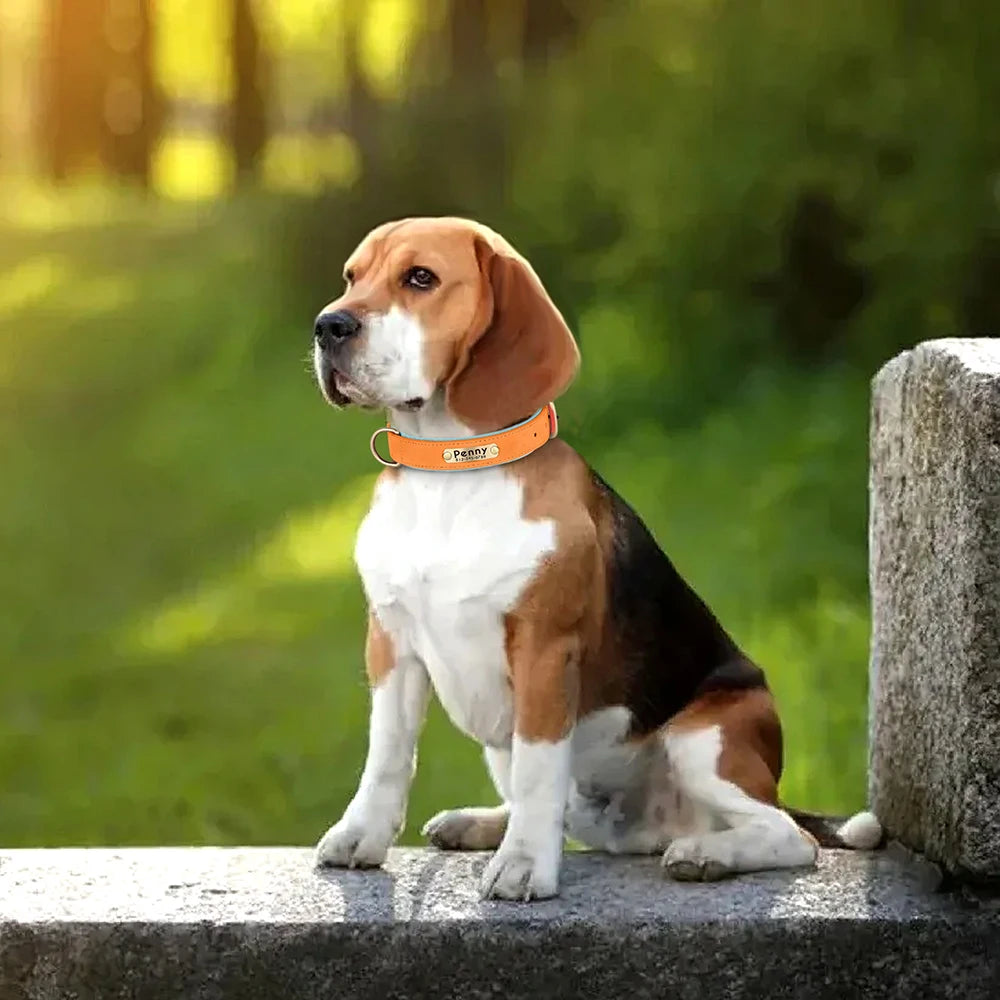 Personalized PU Leather Dog Collar with Free Engraving - Soft Padded
